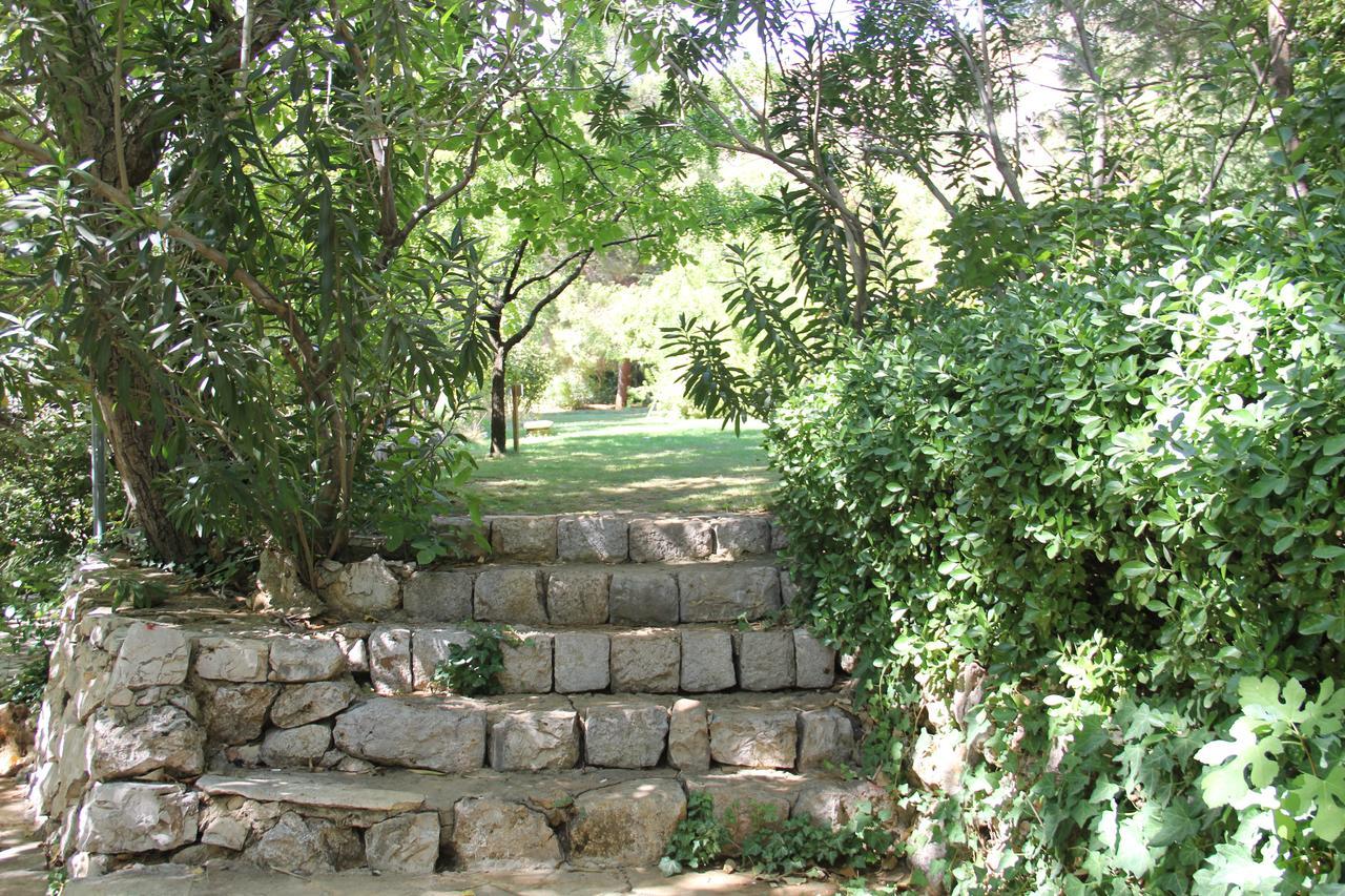 فندق دومين دو شوشين Sahrat al Qashsh المظهر الخارجي الصورة